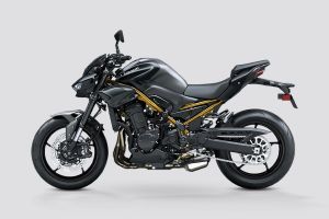 Left Side View of Z900