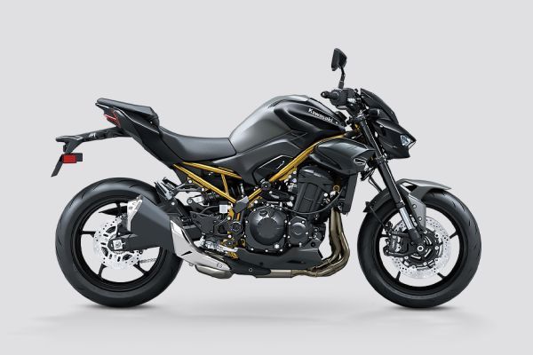 Right Side View of Z900