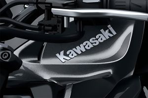Brand Logo & Name of Z1100