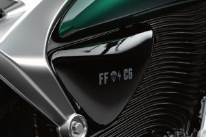 Central Panel of Flying Flea C6