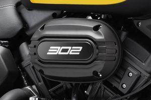 Central Panel of V302C