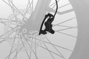 Front Brake of Viper