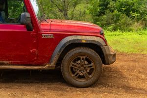 Front Fender Image of Thar
