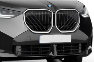 Front Grille Image of X3