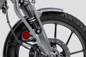 Front Mudguard & Suspension of Flying Flea C6