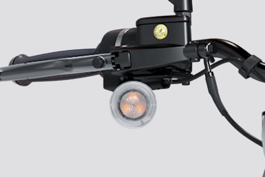 Indicator (Front) of Flying Flea C6
