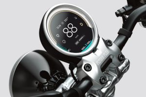Instrument Cluster of Flying Flea C6