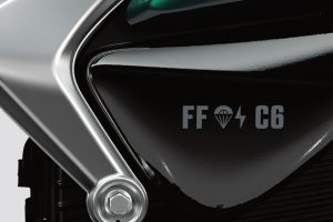 Model Badge of Flying Flea C6