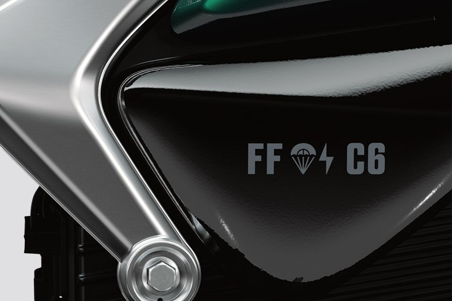 Model Badge of Flying Flea C6