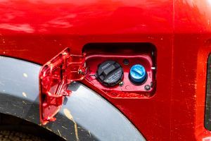 Fuel Lid (Open) Image of Thar