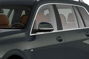 Outside Mirror Image of X7