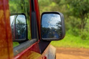 Outside Mirror Glass Image of Thar