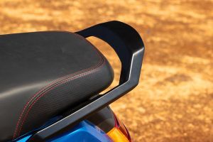 Pillion Grab Rail of DX EV