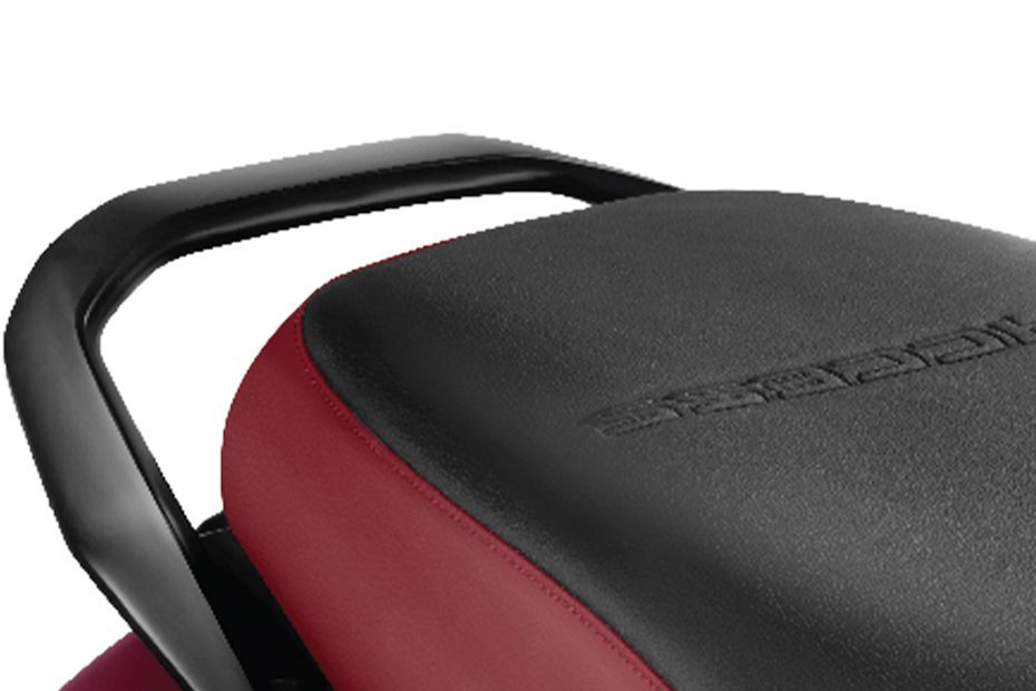 Pillion Grab Rail of e Access