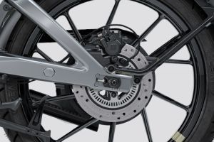 Rear Brake of Flying Flea C6
