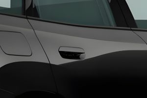Rear Door Handle Image of X3