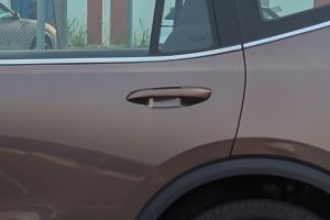 Rear Door Handle Image of VF MPV 7