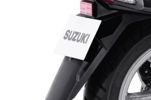 Rear Number Plate e Access
