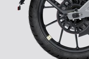 Rear Tyre of Flying Flea C6