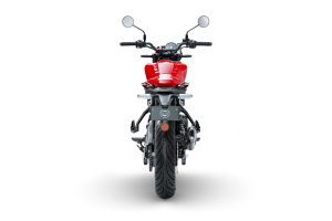 Rear View of Guerrilla 450