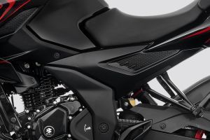 Central Panel of Pulsar N160 S