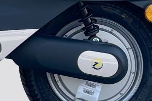 Chain Cover Image of Little Gracy