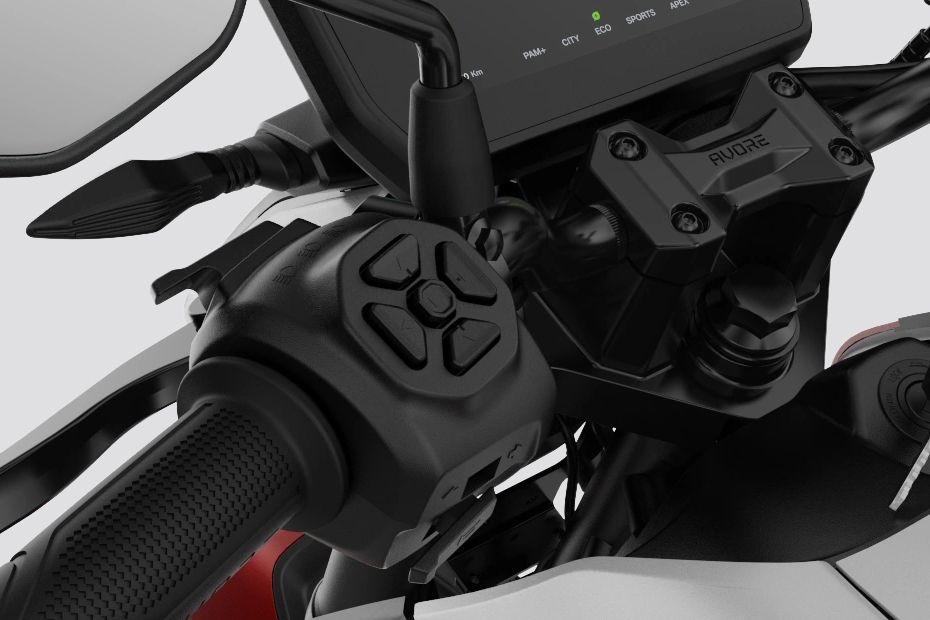Cruise Control Switches of EX2s
