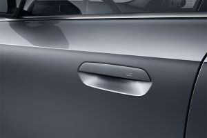 Door Handle Image of X1 LWB