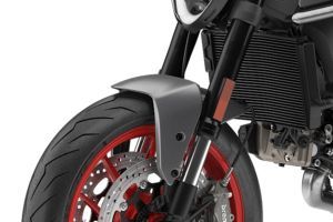 Front Mudguard & Suspension of Monster