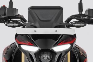 Front Number Plate of Pulsar N160 S
