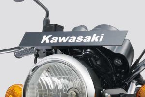Front Number Plate of W175