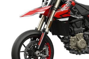 Front Suspension of Hypermotard 698 Mono