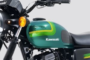 Fuel Tank (Left) of Model_