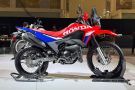 XR 300 Rally