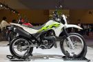 XR 300L