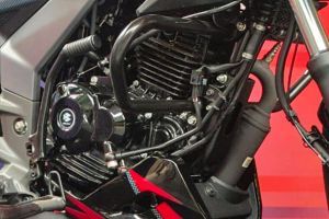 Leg Guard of Pulsar 150