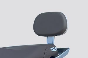 Pillion Backrest of Little Gracy