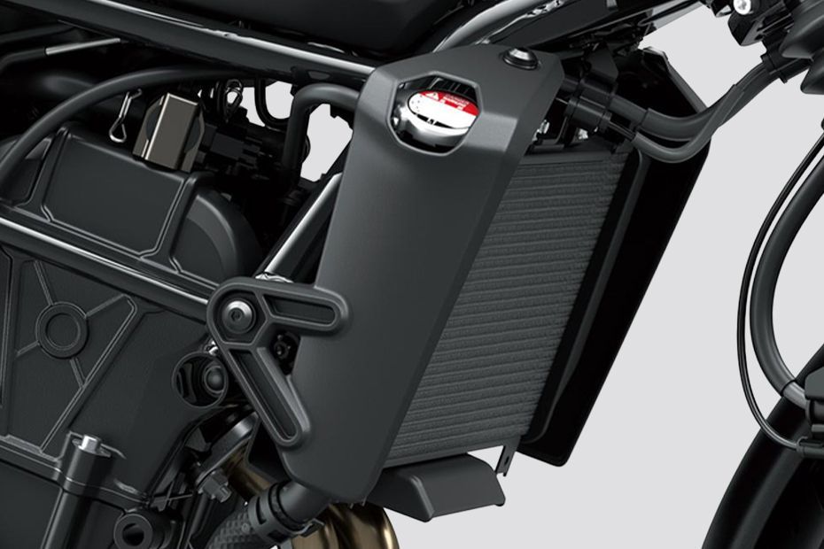 Radiator of Eliminator