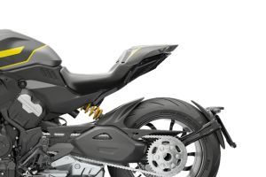 Rear Fairing of Diavel V4