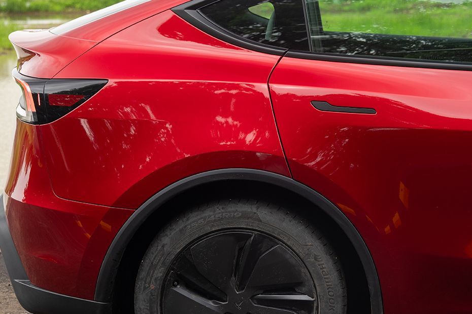 Rear Fender Image of Model Y