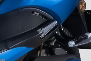Rear Footpeg of Mystery