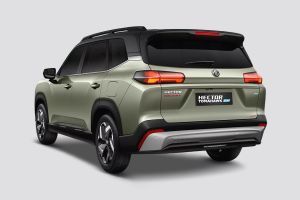 Rear Left Three Quarter View Image of Hector Tomahawk EV