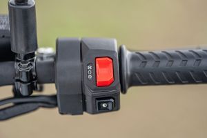 Starter Button of Tuono 457