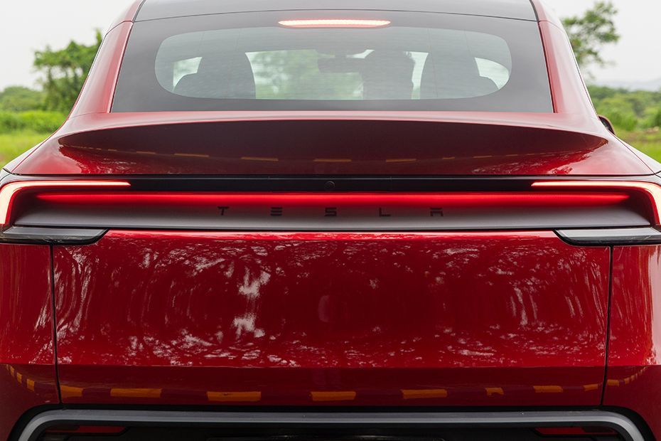 Taillight Image of Model Y