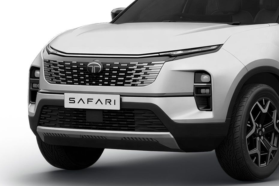 Front Grille Image of Safari