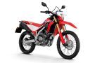 CRF300L