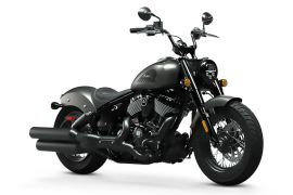 Indian Chief