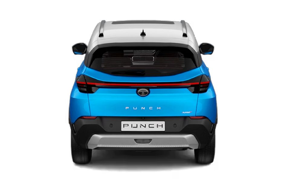 Rear back Image of Punch