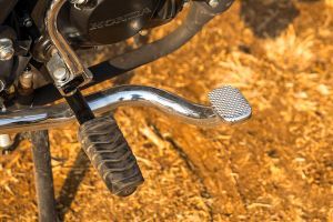 Rear Brake Lever of Model_