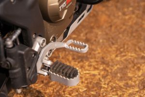 Rear Brake Lever of Model_